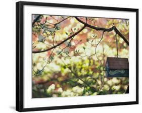 Backyard Bird Feeder, Birdhouse and Spring Flowers-Gayle Harper-Framed Photographic Print