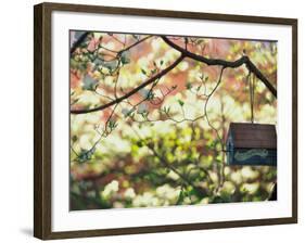 Backyard Bird Feeder, Birdhouse and Spring Flowers-Gayle Harper-Framed Photographic Print