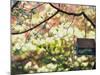 Backyard Bird Feeder, Birdhouse and Spring Flowers-Gayle Harper-Mounted Photographic Print