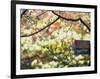 Backyard Bird Feeder, Birdhouse and Spring Flowers-Gayle Harper-Framed Photographic Print