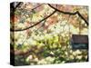 Backyard Bird Feeder, Birdhouse and Spring Flowers-Gayle Harper-Stretched Canvas