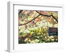 Backyard Bird Feeder, Birdhouse and Spring Flowers-Gayle Harper-Framed Photographic Print