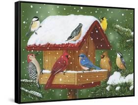 Backyard Birds, Holiday Treats-William Vanderdasson-Framed Stretched Canvas