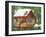 Backyard Birds, Holiday Treats-William Vanderdasson-Framed Giclee Print