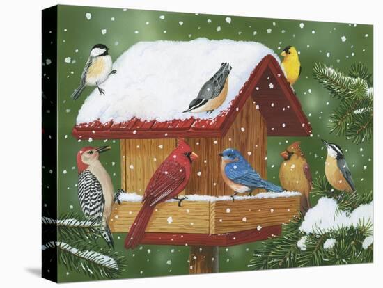 Backyard Birds, Holiday Treats-William Vanderdasson-Stretched Canvas