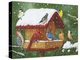 Backyard Birds, Holiday Treats-William Vanderdasson-Stretched Canvas