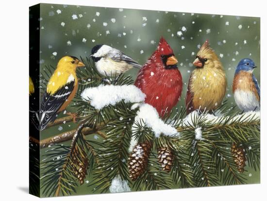 Backyard Birds on Snowy Branch-William Vanderdasson-Stretched Canvas