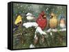 Backyard Birds on Snowy Branch-William Vanderdasson-Framed Stretched Canvas