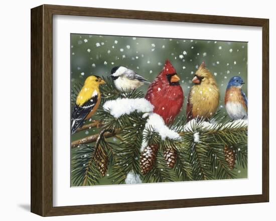 Backyard Birds on Snowy Branch-William Vanderdasson-Framed Giclee Print