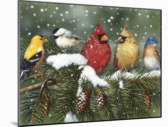 Backyard Birds on Snowy Branch-William Vanderdasson-Mounted Giclee Print