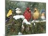 Backyard Birds on Snowy Branch-William Vanderdasson-Mounted Giclee Print