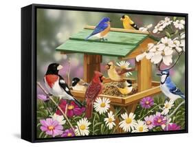 Backyard Birds Spring Feast-William Vanderdasson-Framed Stretched Canvas