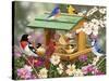 Backyard Birds Spring Feast-William Vanderdasson-Stretched Canvas