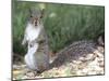 Backyard Buddy-Karen Williams-Mounted Premium Photographic Print