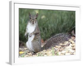 Backyard Buddy-Karen Williams-Framed Photographic Print