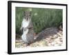 Backyard Buddy-Karen Williams-Framed Photographic Print