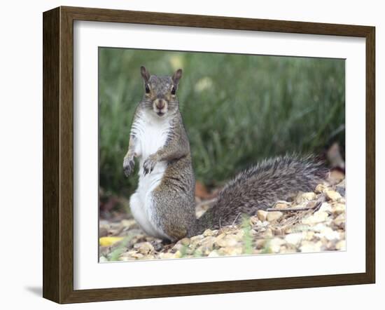 Backyard Buddy-Karen Williams-Framed Photographic Print