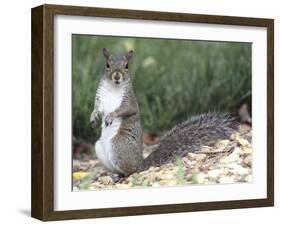 Backyard Buddy-Karen Williams-Framed Photographic Print