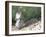 Backyard Buddy-Karen Williams-Framed Photographic Print