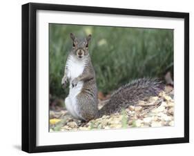 Backyard Buddy-Karen Williams-Framed Photographic Print