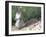 Backyard Buddy-Karen Williams-Framed Photographic Print