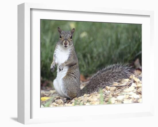 Backyard Buddy-Karen Williams-Framed Photographic Print