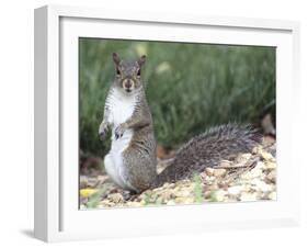 Backyard Buddy-Karen Williams-Framed Photographic Print