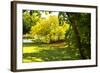 Backyard Color I-Alan Hausenflock-Framed Photographic Print