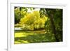 Backyard Color I-Alan Hausenflock-Framed Photographic Print