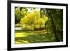 Backyard Color I-Alan Hausenflock-Framed Photographic Print