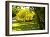 Backyard Color I-Alan Hausenflock-Framed Photographic Print