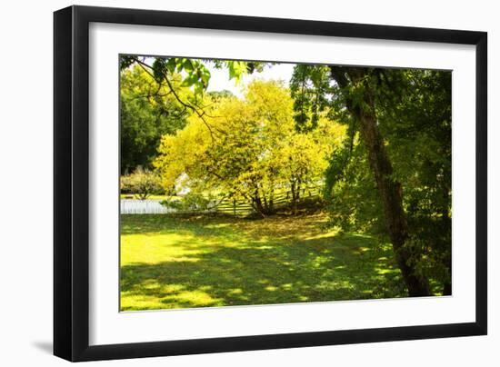 Backyard Color I-Alan Hausenflock-Framed Photographic Print