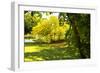 Backyard Color I-Alan Hausenflock-Framed Photographic Print