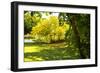 Backyard Color I-Alan Hausenflock-Framed Premium Photographic Print