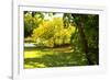 Backyard Color I-Alan Hausenflock-Framed Photographic Print