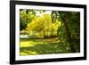 Backyard Color I-Alan Hausenflock-Framed Photographic Print