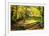 Backyard Color II-Alan Hausenflock-Framed Photographic Print