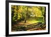 Backyard Color II-Alan Hausenflock-Framed Photographic Print