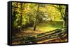 Backyard Color II-Alan Hausenflock-Framed Stretched Canvas