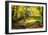 Backyard Color II-Alan Hausenflock-Framed Photographic Print