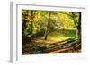 Backyard Color II-Alan Hausenflock-Framed Photographic Print