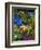 Backyard Flower Garden With Chair-Darrell Gulin-Framed Photographic Print