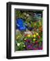 Backyard Flower Garden With Chair-Darrell Gulin-Framed Photographic Print