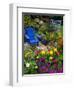 Backyard Flower Garden With Chair-Darrell Gulin-Framed Photographic Print