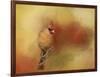 Backyard Jewel-Jai Johnson-Framed Giclee Print