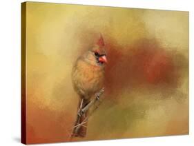 Backyard Jewel-Jai Johnson-Stretched Canvas