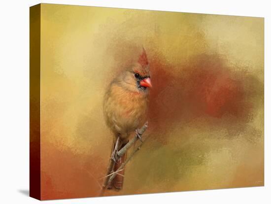 Backyard Jewel-Jai Johnson-Stretched Canvas