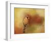 Backyard Jewel-Jai Johnson-Framed Premium Giclee Print