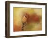 Backyard Jewel-Jai Johnson-Framed Giclee Print