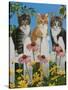 Backyard Kittens-William Vanderdasson-Stretched Canvas